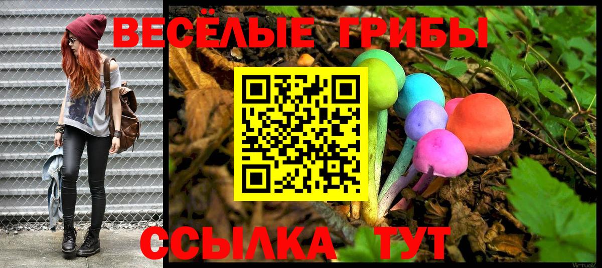 Псилоцибиновые грибы мицелий Тавда