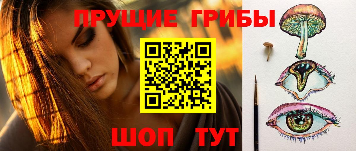 Галлюциногенные грибы Magic Shrooms  Вход с VPN  Тавда 